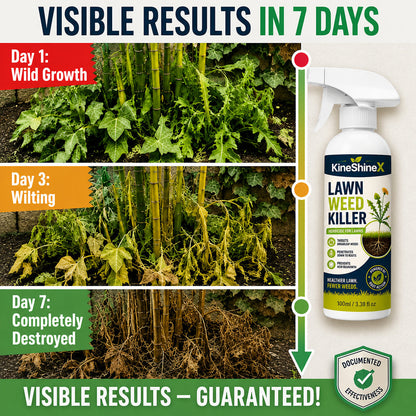 ⚡ [Fall Yard Refresh] Easy & Stress-Free Domestic Weed Killer Spray | Fast-Acting Root Remover for Garden & Patio